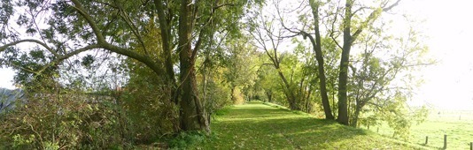 Trame verte