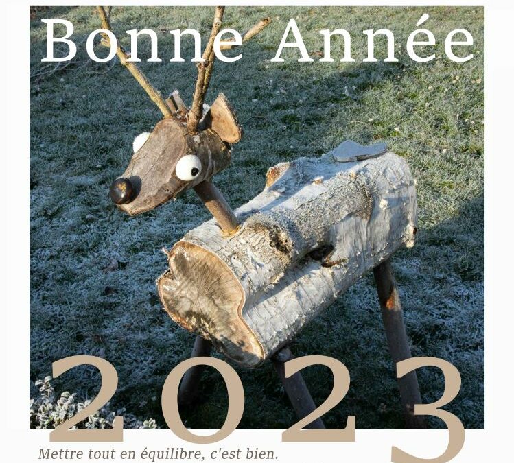 20 janvier : VOEUX 2023